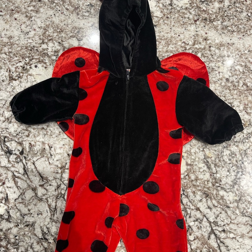 Cutest Little Ladybug on the Block ❤️